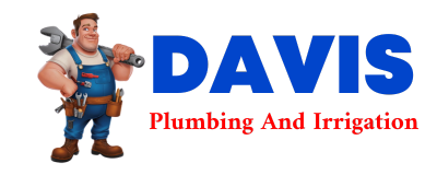 Trusted plumber in DINERO